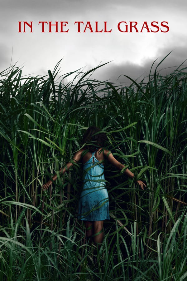 novel cover of Stephen King's in the tall grass